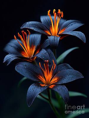 Vibrant Orange Lilies by Lauren Blessinger