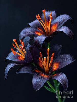 Vibrant Purple Lilies in Bloom by Lauren Blessinger