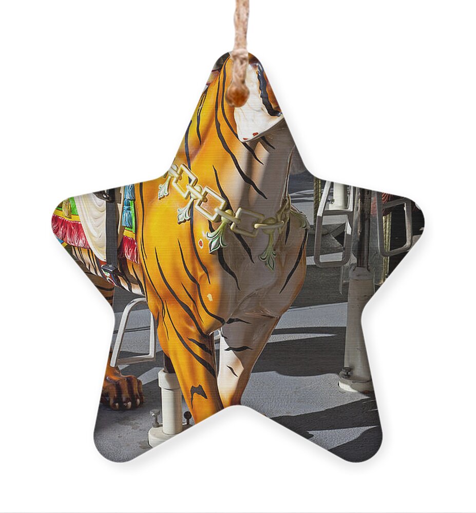 Tiger carousel ride Ornament by Garry Gay - Garry Gay Official Website