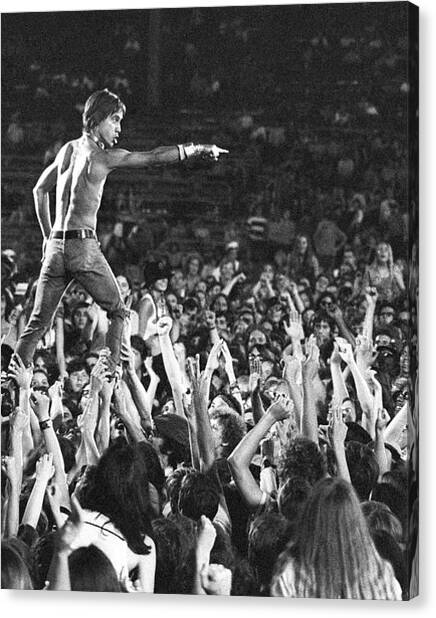 Iggy Pop Performing to a Massive Crowd Canvas Print