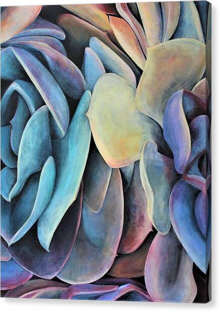 Echeveria Canvas Print