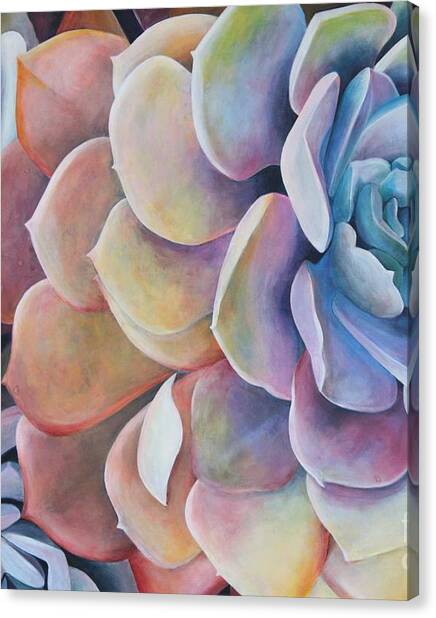 Colorful Succulent Close-up Canvas Print