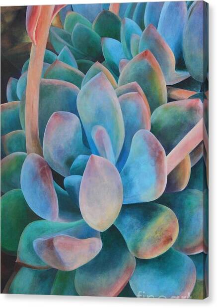 Velour 1982 Canvas Print