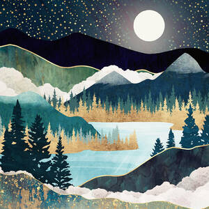 Star Lake by Spacefrog Designs